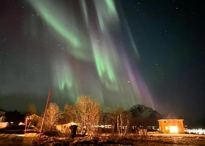 Pederstua, A Classic Fisherman\'S Farm House In The Middle Of Lofoten